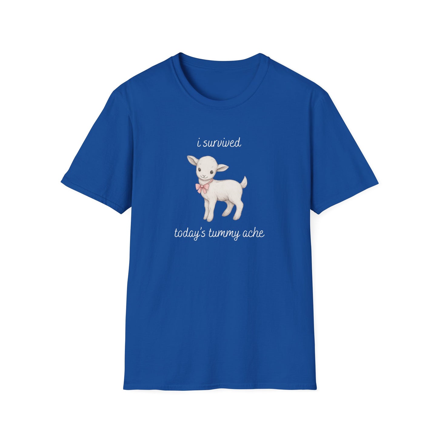 I Survived Today's Tummy Ache T-Shirt