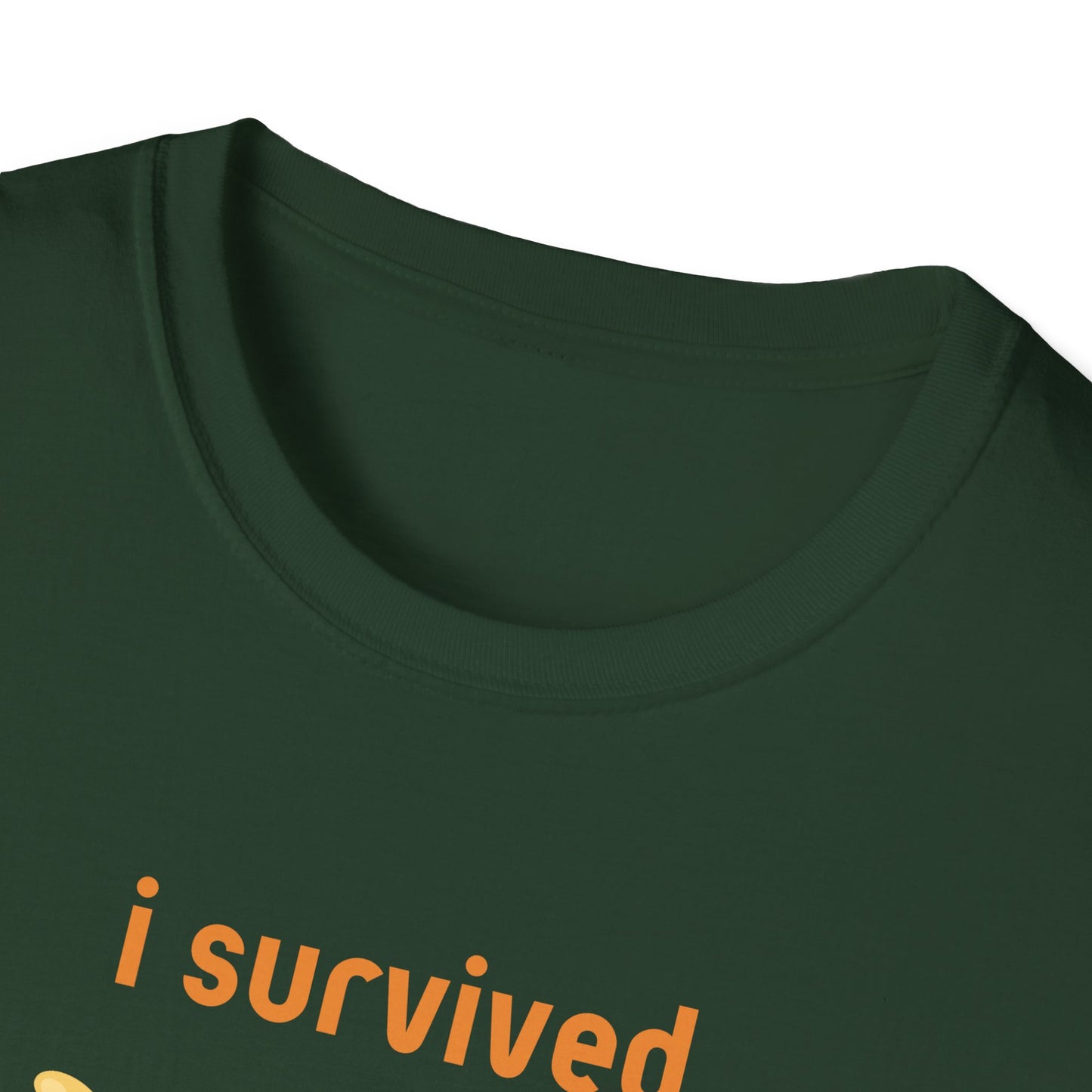 I Survived Today's Tummy Ache T-Shirt