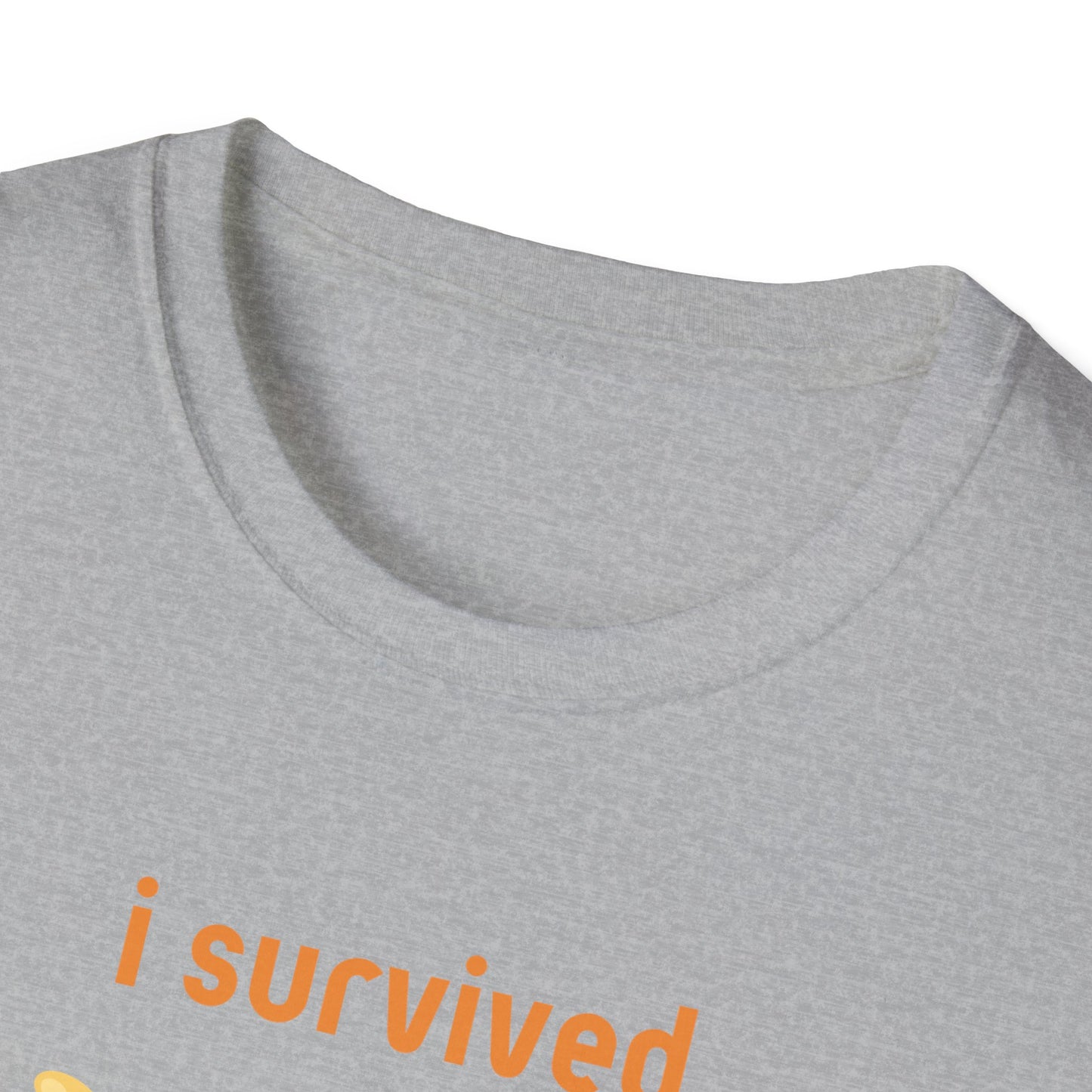 I Survived Today's Tummy Ache T-Shirt