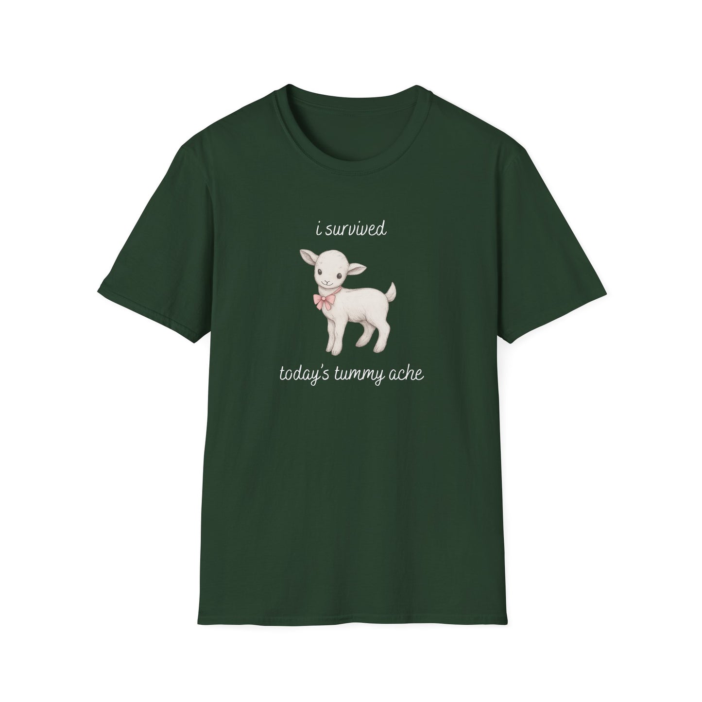 I Survived Today's Tummy Ache T-Shirt