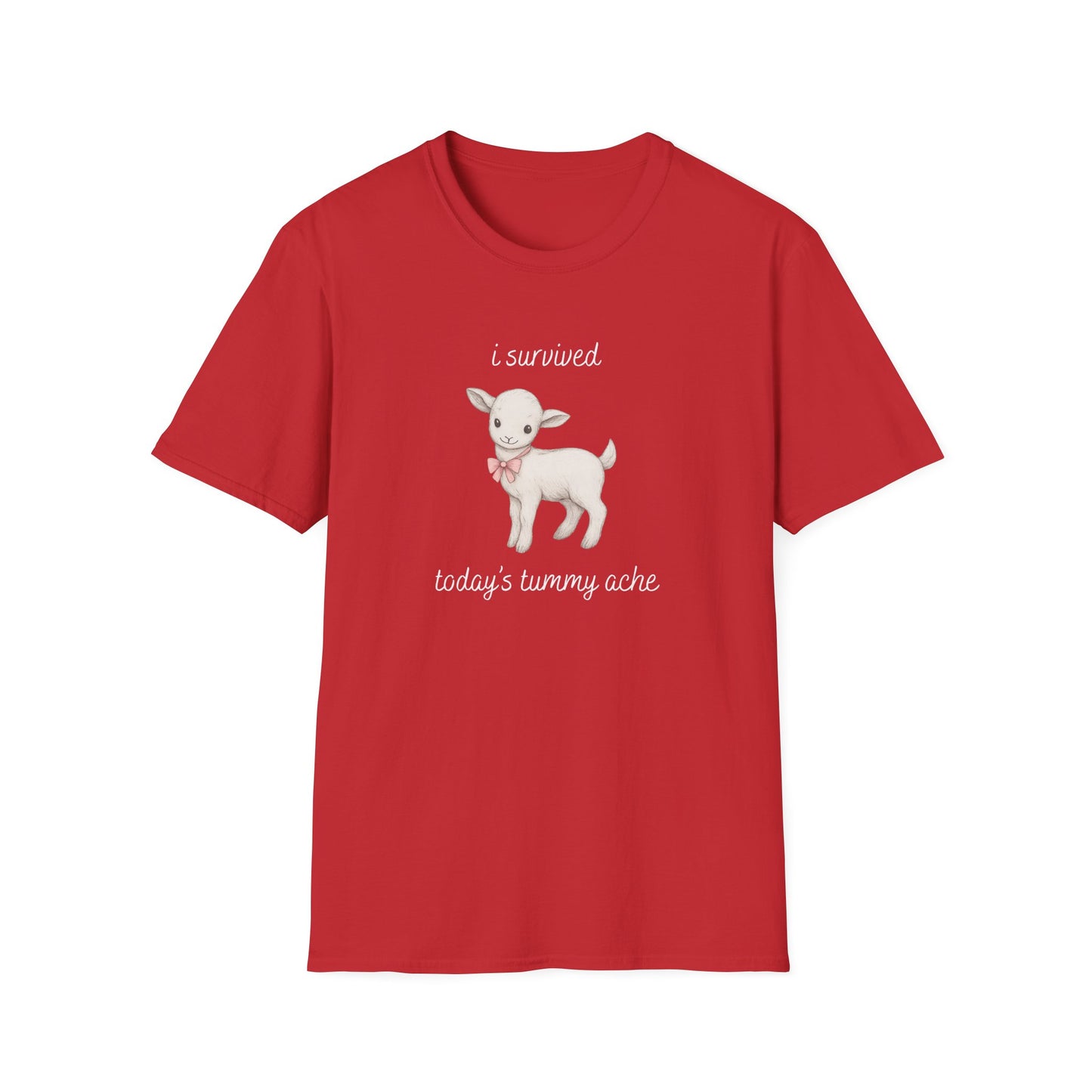 I Survived Today's Tummy Ache T-Shirt
