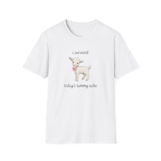I Survived Today's Tummy Ache T-Shirt