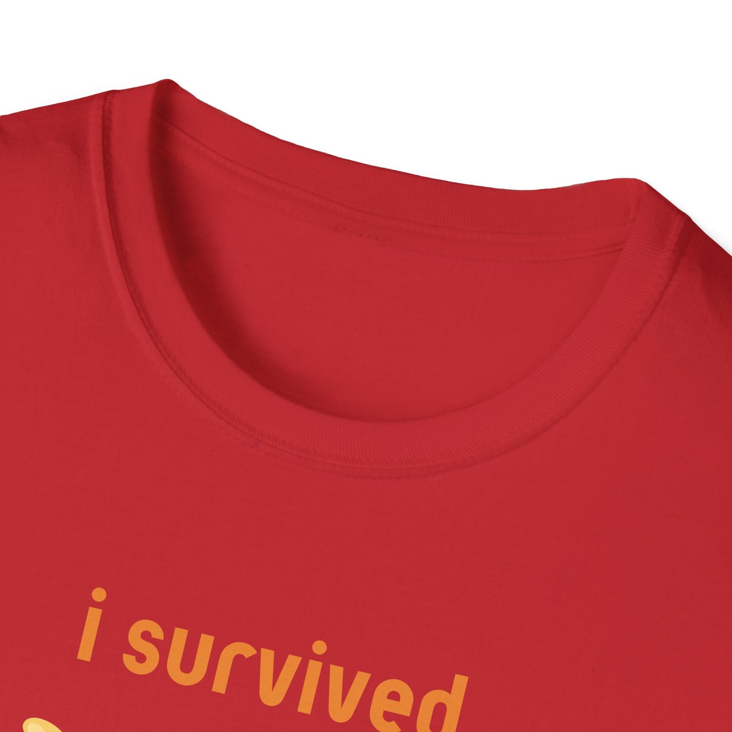 I Survived Today's Tummy Ache T-Shirt