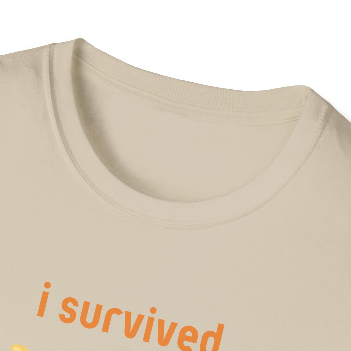 I Survived Today's Tummy Ache T-Shirt