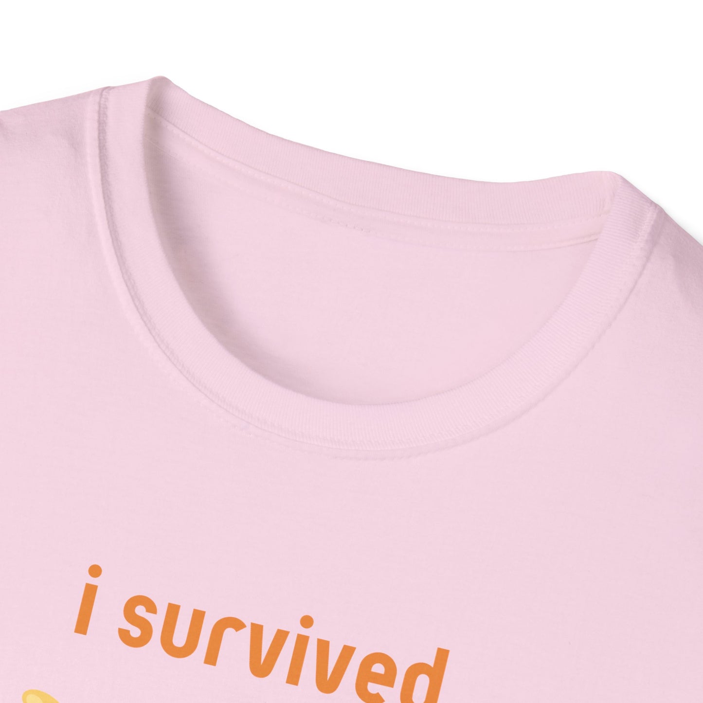 I Survived Today's Tummy Ache T-Shirt