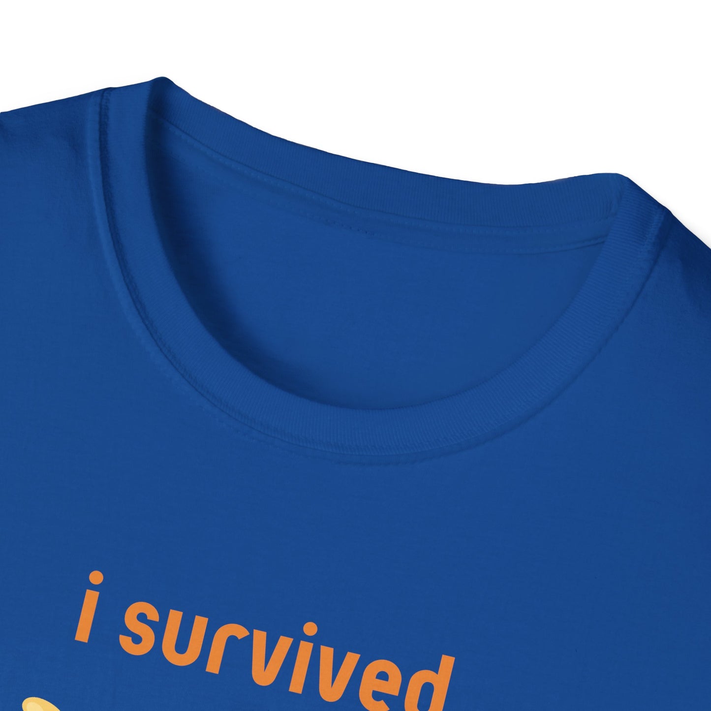 I Survived Today's Tummy Ache T-Shirt
