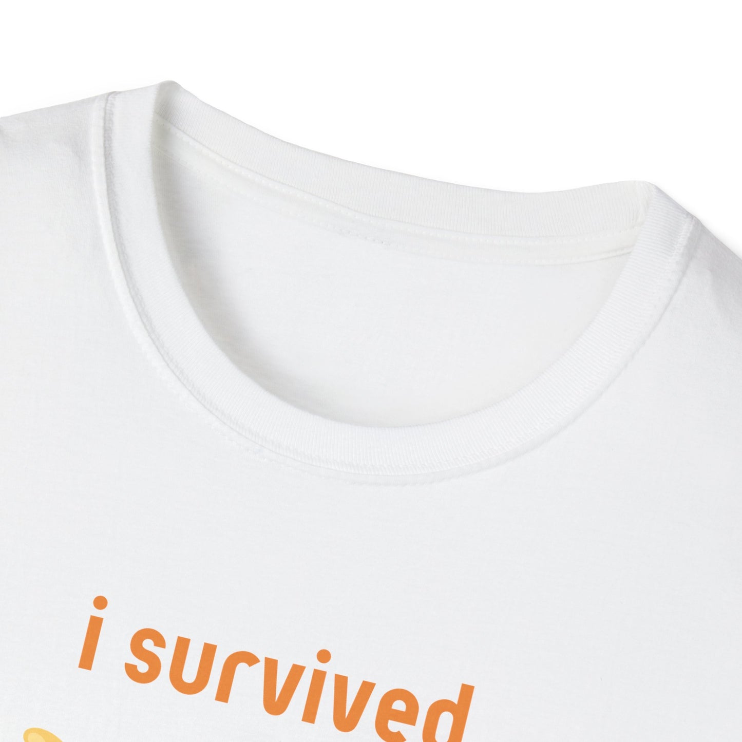 I Survived Today's Tummy Ache T-Shirt