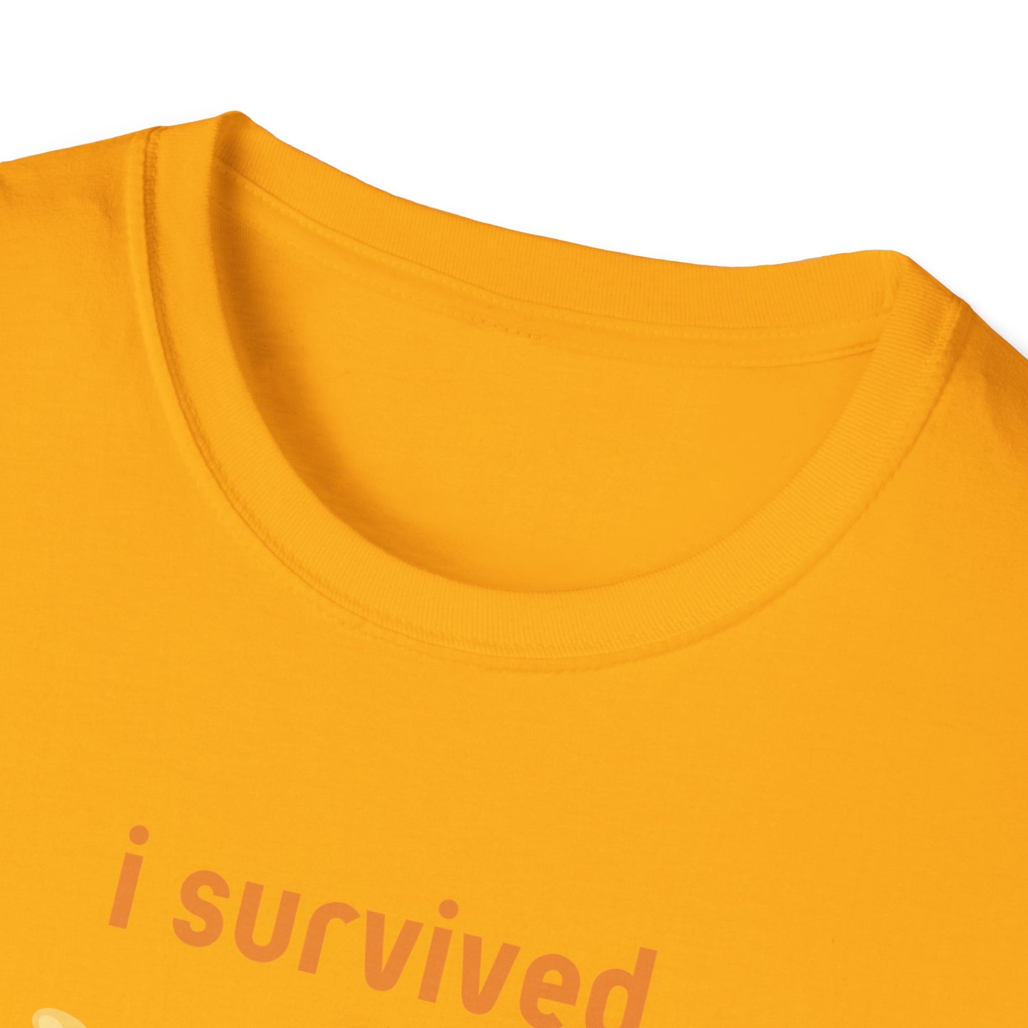 I Survived Today's Tummy Ache T-Shirt